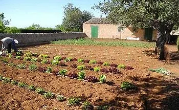 Country house Casa Rural Son Bernadinet Guest House Campos Spain